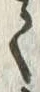 文字 荒