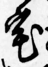 位置 確認된 宅