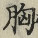 字胸