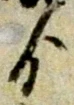 Đã định vị ゟ