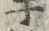 文字牛
