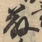 已定位藤