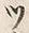 「ツ」字