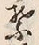 文字葉