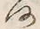 文字何