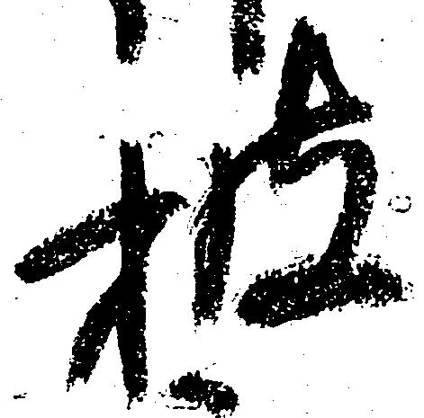 位置 確認된 披