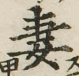Đã định vị 妻