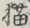 猫 위치 확인됨
