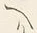 𡨸か