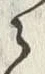 字随