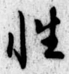Đã định vị 性