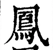 글자 鳳