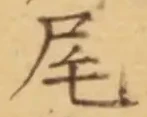 Character 尾