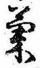 已定位菊