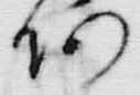 「荷」字