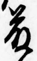 已定位藤