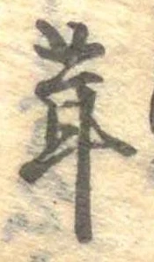 位置定マレル茸
