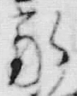 字家