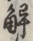 已定位解