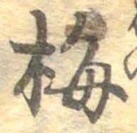 已定位梅