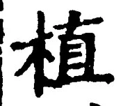 “植”字
