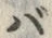 字バ