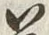 字慈