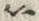 “箔”字