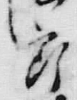 文字 左