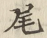 Character 尾