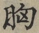 文字 胸