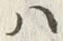 文字縄