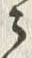 Character 仍