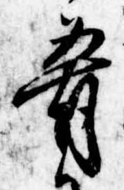 Đã định vị 肴