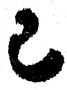 Đã định vị 已