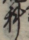 位置定マレル科