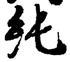 純の位置