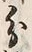 字分