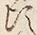 Character 旬