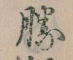 已定位勝