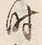 Character 時