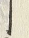 字蕎