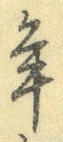 位置 確認된 年