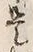 Character 是