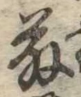 已定位藤