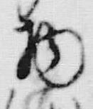 “渡”字