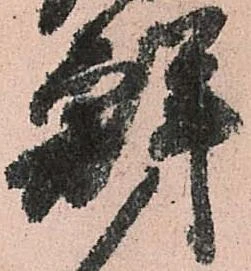位置 確認된 鮮