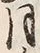 文字六
