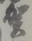 文字 賀
