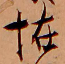 Đã định vị 恠